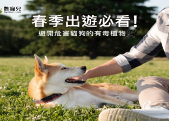 老年狗狗腎衰竭原因揭秘及實用護理指南