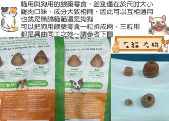 舍利花狗哪裡買?推薦這幾個地方價格超划算!