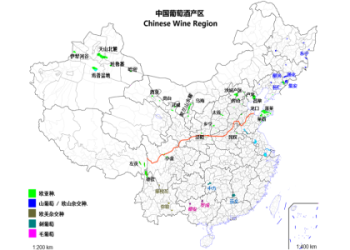 骨灰項鍊合法嗎?台灣法規與購買管道全解答