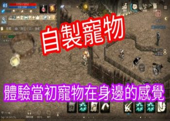 園惟寵物天堂適合哪些寵物?(詳細指南帶你輕鬆遊玩)