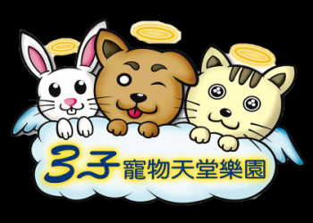 哪裡學寵物禮儀師課程?台灣推薦機構大公開!