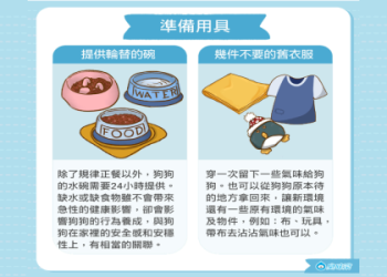 狗頭五準備重要嗎?五大原因幫你快速理解必要性!