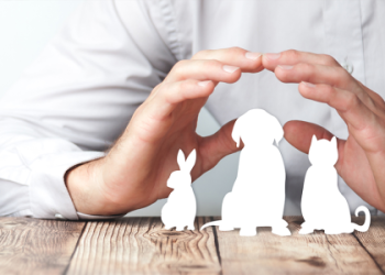 寵物骨灰戒指哪家好?推薦2家優質廠商比一比!