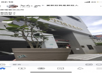 寵物盆葬和植栽哪個好?過來人經驗分析給你聽!