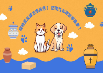 狗狗骨灰費用如何算?(實際行情與省錢秘訣)