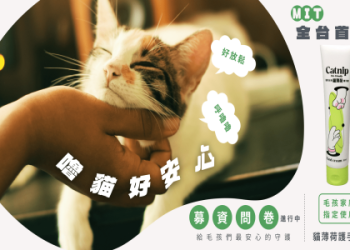 寵物飾品材質選什麼(這5種材料對毛孩最安全)