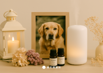 高雄寵物禮儀怎麼做?完整步驟教你輕鬆安排