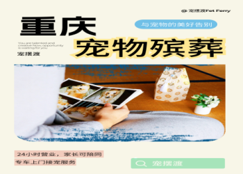 台北寵物火化怎麼做?完整步驟簡單攻略一次搞懂!