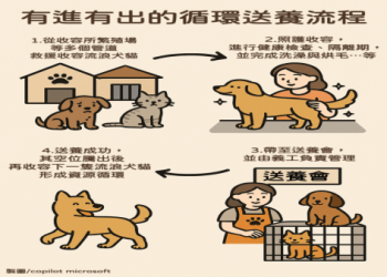 嘉義動物收容所常見問題(解答與小撇步一次看)