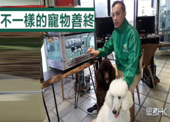 台東寵物火化怎麼做?(簡單步驟一次學會處理方法)