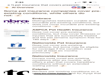 深坑寵物火化費用貴不貴?(省錢方案一次全部告訴你)
