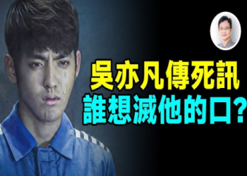 狗狗癲癇會死嗎?症狀解析與預防方法 | 主人必學急救步驟