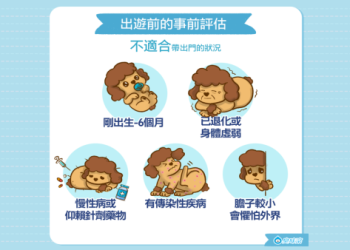 高雄寵物天堂帶寵物注意啥?專家提醒避開地雷!