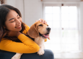 如何選擇寵物溝通推薦?完整指南幫你找到最適合!
