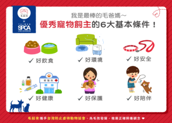 寵物頭七要做什麼?六個步驟幫助你好好送別牠