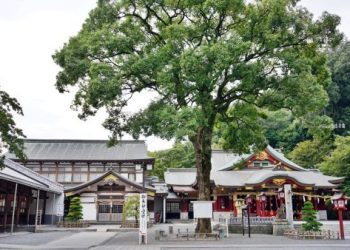 狗頭七運動方法?每天七分鐘狗狗活潑頭毛亮麗!