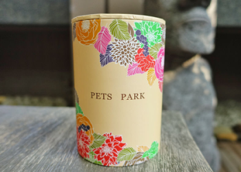 台中寵物火化費用是多少?完整價格指南避免被坑錢!