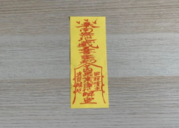 寵物金紙價格多少?省錢購買秘訣快來看!