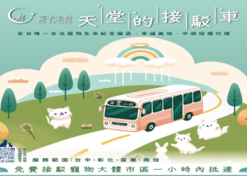 狗狗骨灰放家裡怎麼做?3步簡單安放好寵物