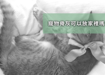 狗狗往生後去哪裡?專家這樣說讓人安心