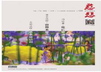 寵物舍利花保存不當怎辦?立即學會正確處理技巧