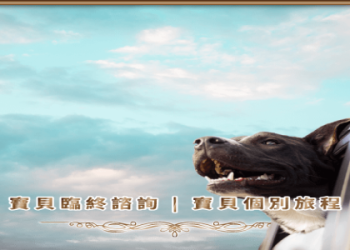 福園寵物陵園多少錢?三種安葬方案讓毛孩好好走!