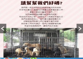 參觀嘉義縣動物收容所要錢嗎?這些事項注意才方便!