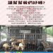 參觀嘉義縣動物收容所要錢嗎?這些事項注意才方便!