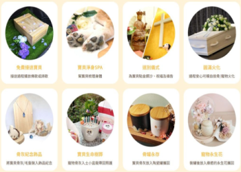 新竹寵物火化怎麼選?推薦這幾家優質服務最安心!