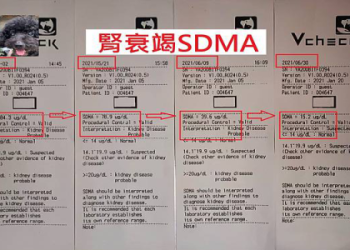 狗狗腎臟病症狀大揭密,這些早期徵兆不可忽視!