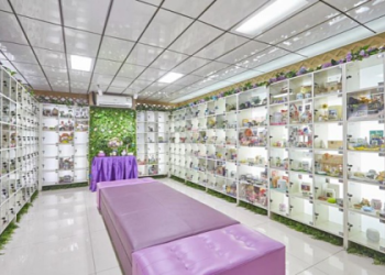 寵物個別火化服務哪裡好?費用透明優質業者推薦!