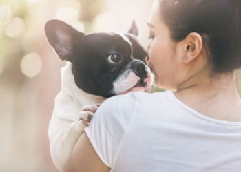 寵物打晶片價錢貴不貴?(費用解析與省錢方法大公開!)