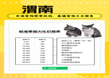 新竹寵物殯葬服務有哪些?(了解3大類別完整選擇指南)