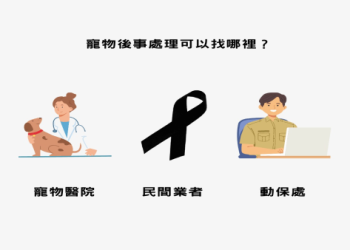 新北寵物火化流程怎麼走?簡單步驟搞定不求人!