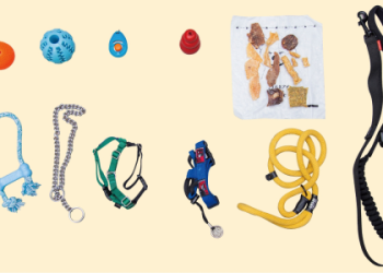 狗狗訓練師證照考試難嗎?一次過的學習計劃