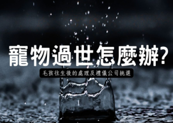 寵物骨灰罈怎麼挑選才對?(專家教你三大實用秘訣)