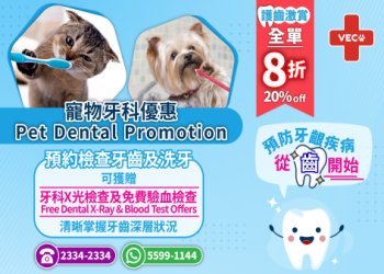 幼犬狗狗抽筋正常嗎何時該衝獸醫院急診