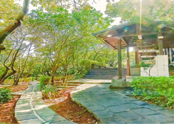 林口寵物火化怎麼做?(3個步驟輕鬆完成!)