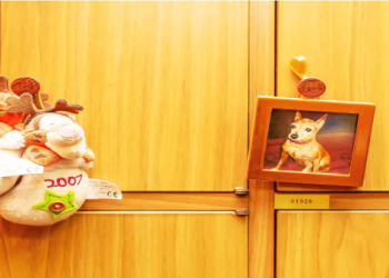 去寵物靈骨塔拜拜時間有講究?最佳時辰大公開