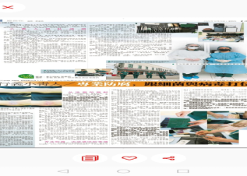 寵物骨灰壇怎麼使用?步驟教學避免錯誤操作!