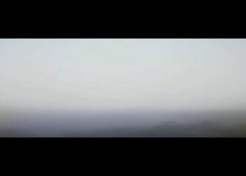 動物火化費用知多少?(省錢攻略與價格大公開)