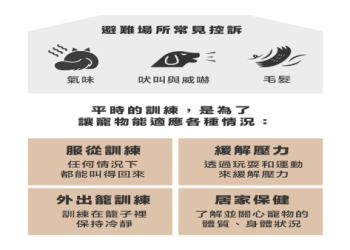 寵物頭七禁忌犯了怎麼辦?這5個處理方法請學起來