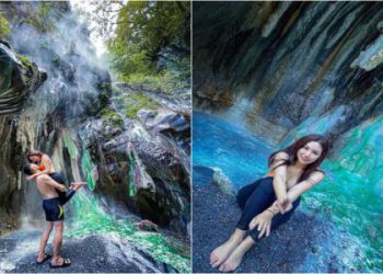 動物天堂最佳遊玩季節?避開人潮這樣安排