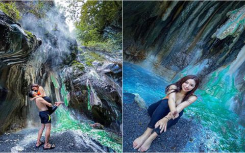 動物天堂最佳遊玩季節?避開人潮這樣安排