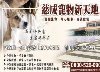 新北市寵物靈骨塔介紹(寵物安息之所詳解)