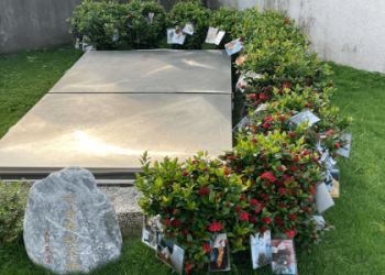 嘉義寵物火化怎麼做?詳細步驟帶你輕鬆完成!