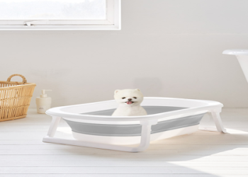 寵物盆栽養護大全:毛孩與植物和平共處3方法