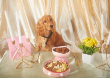 寵物火化場流程怎麼樣?這3步驟專業處理安心又快速!