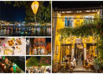 新竹寵物天堂服務評比第一名原來是這家