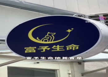 屏東寵物火化流程有哪些?七步驟帶你走一遍